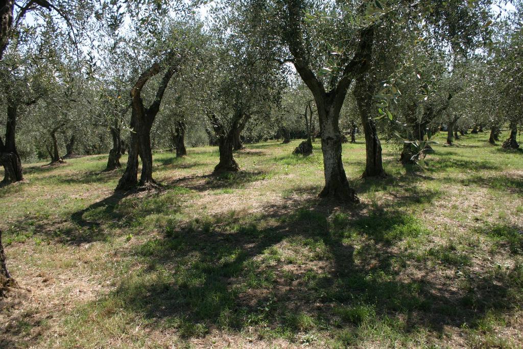Casa Fontanino Panzió Altopascio Kültér fotó