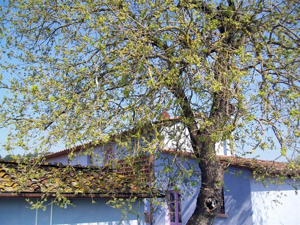 Casa Fontanino Panzió Altopascio Kültér fotó